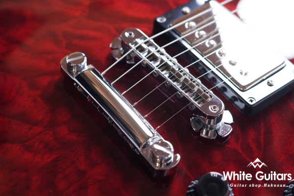 Z22QQ - Trans Red Burst